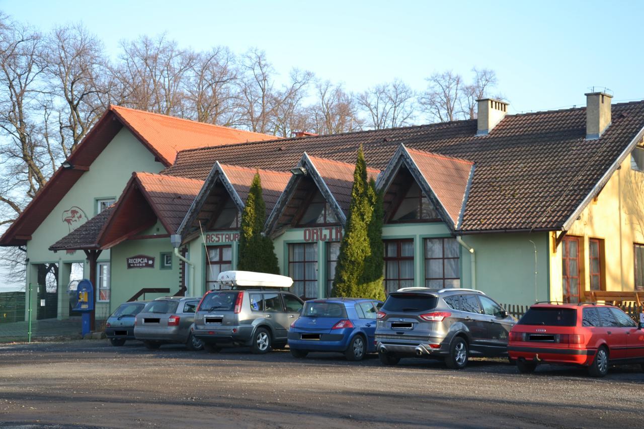 Hotelik Orlik Legnickie Pole Exterior photo